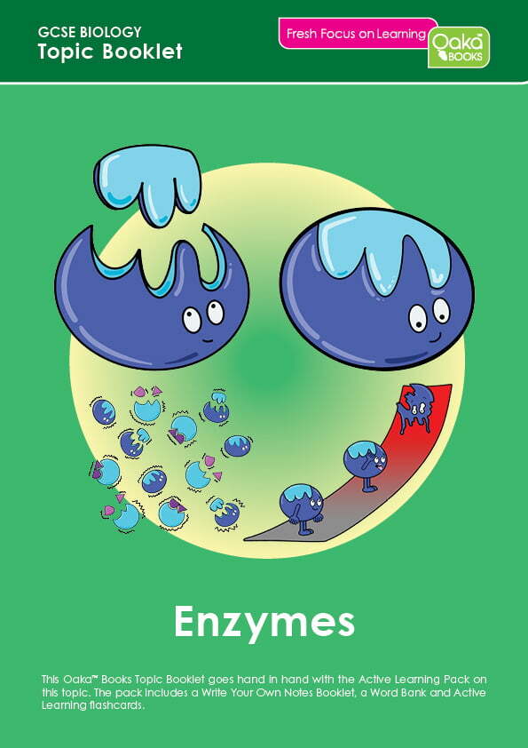 GCSE Biology – Enzymes