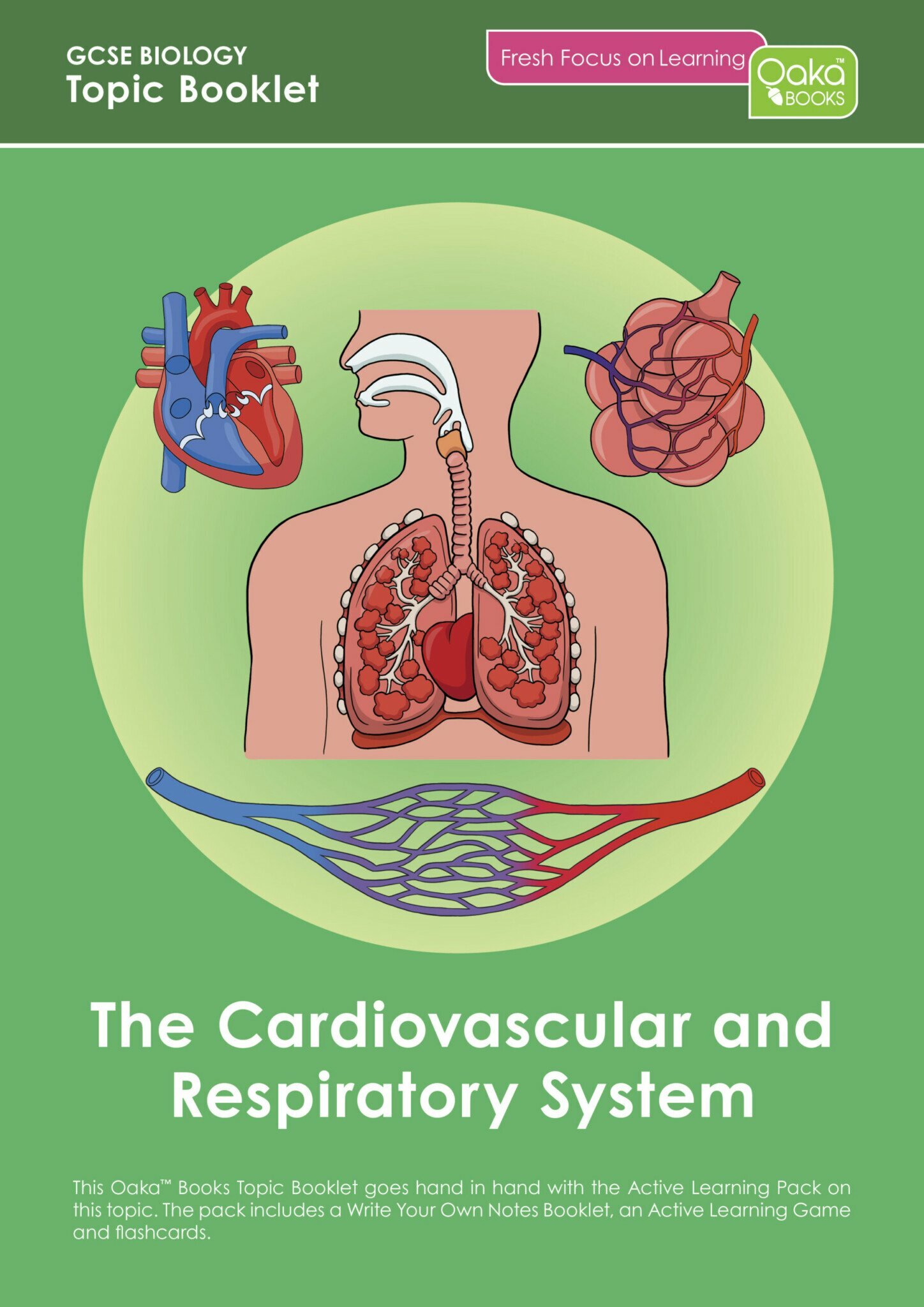 GCSE Biology – The Cardiovascular & Respiratory System