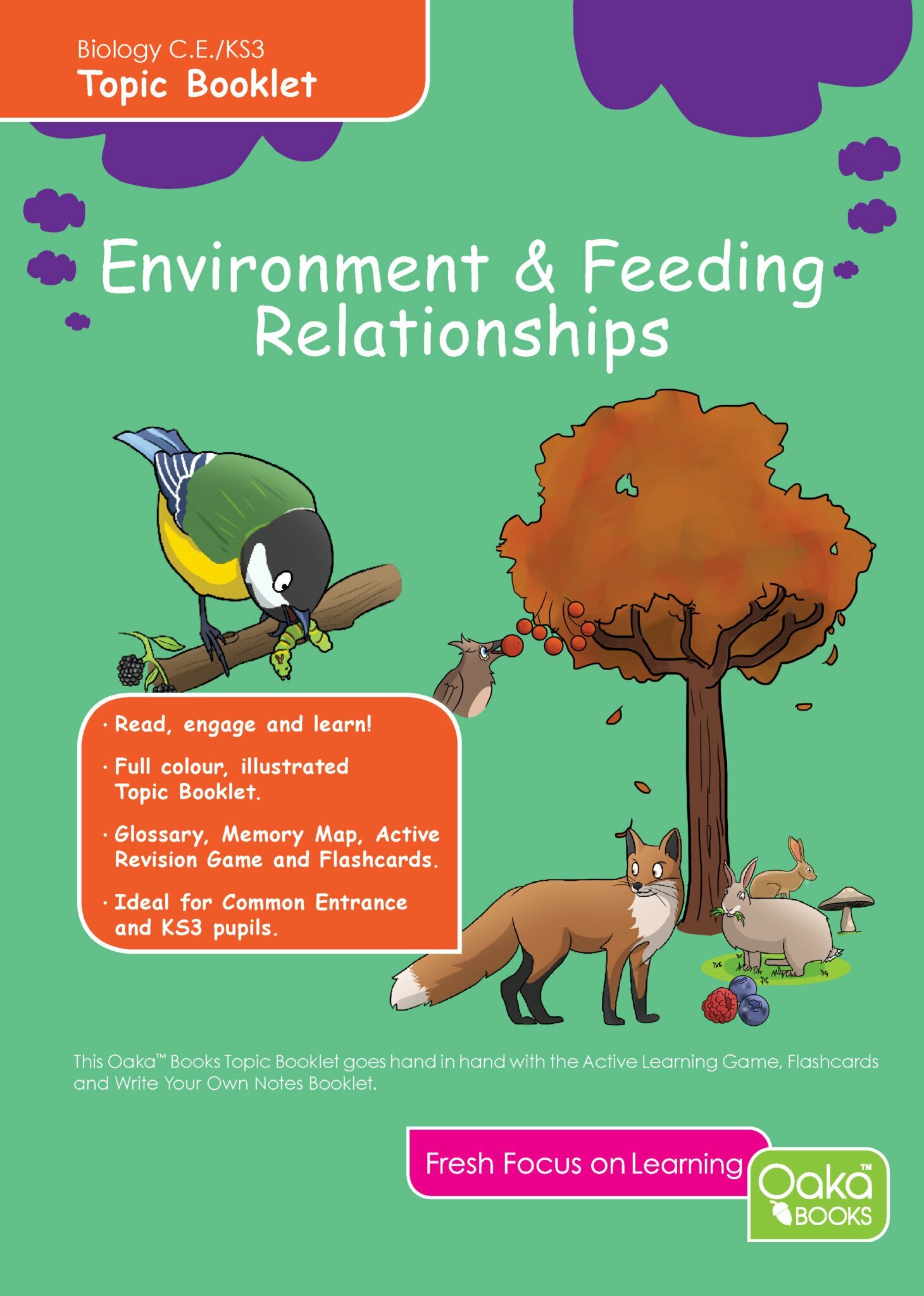 CE/KS3 Biology: Environment & Feeding Relationships