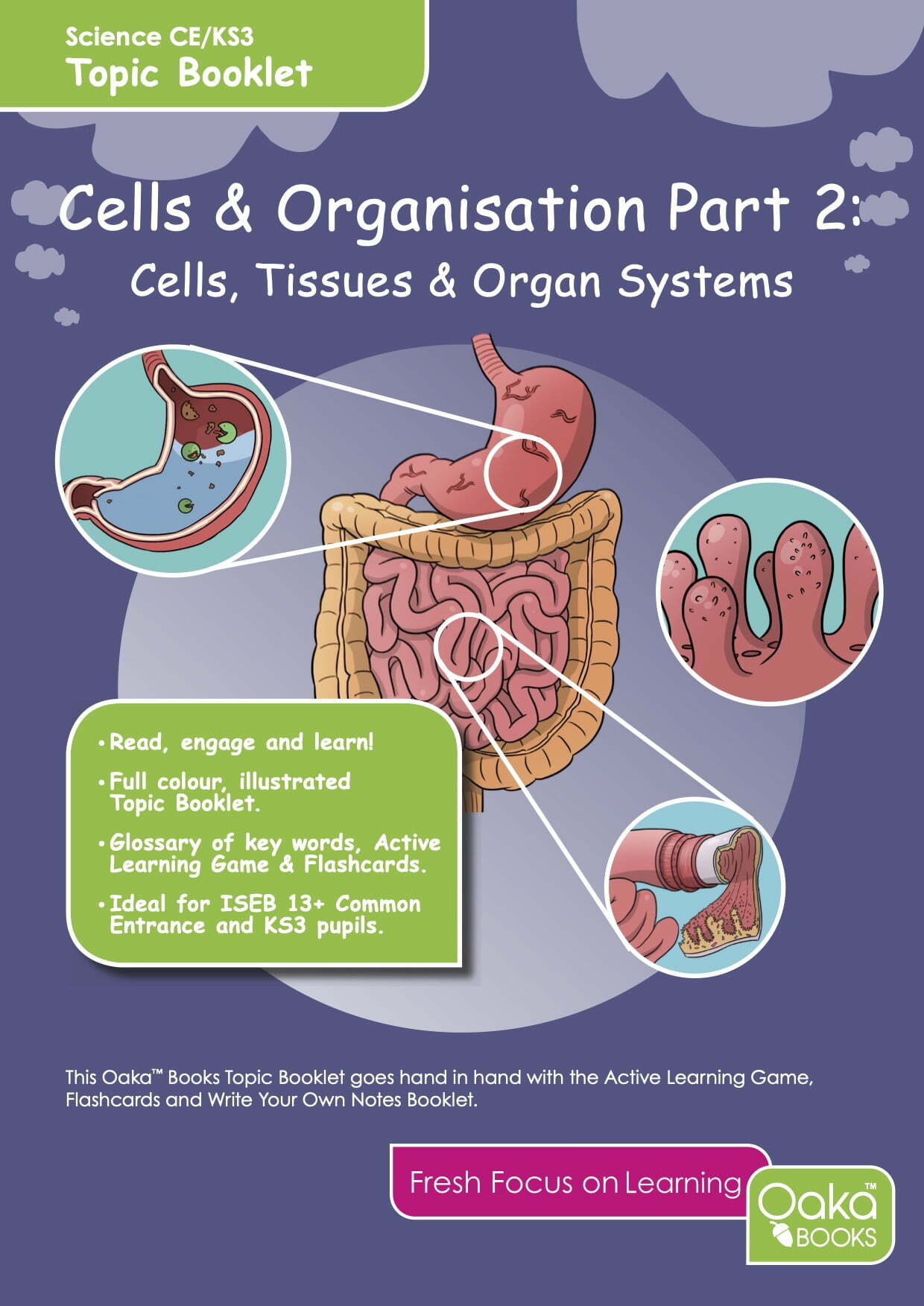 CE/KS3 Biology: Cells & Organisation (Part 2) – Cells, Tissues & Organ Systems