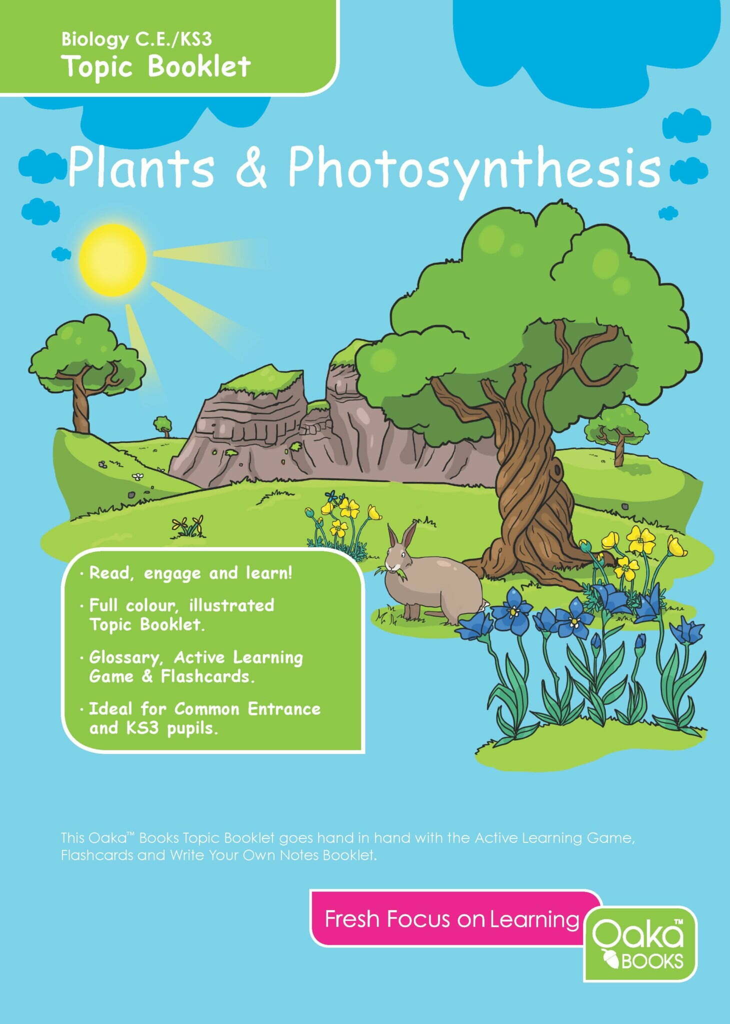CE/KS3 Biology: Plants & Photosynthesis